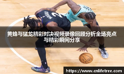 黄蜂与猛龙精彩对决视频录像回顾分析全场亮点与精彩瞬间分享