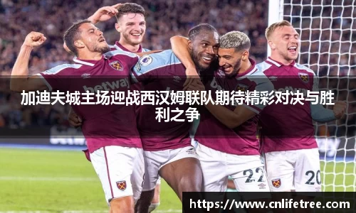 加迪夫城主场迎战西汉姆联队期待精彩对决与胜利之争